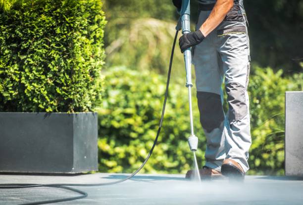 Best Gutter Cleaning  in Springfield, KY