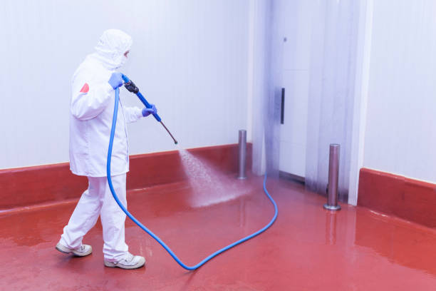 Best Sidewalk and Walkway Cleaning  in Springfield, KY
